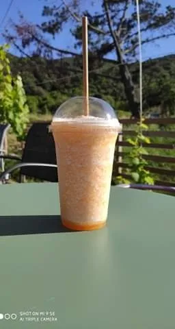 Smoothie Melon